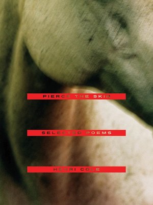 cover image of Pierce the Skin